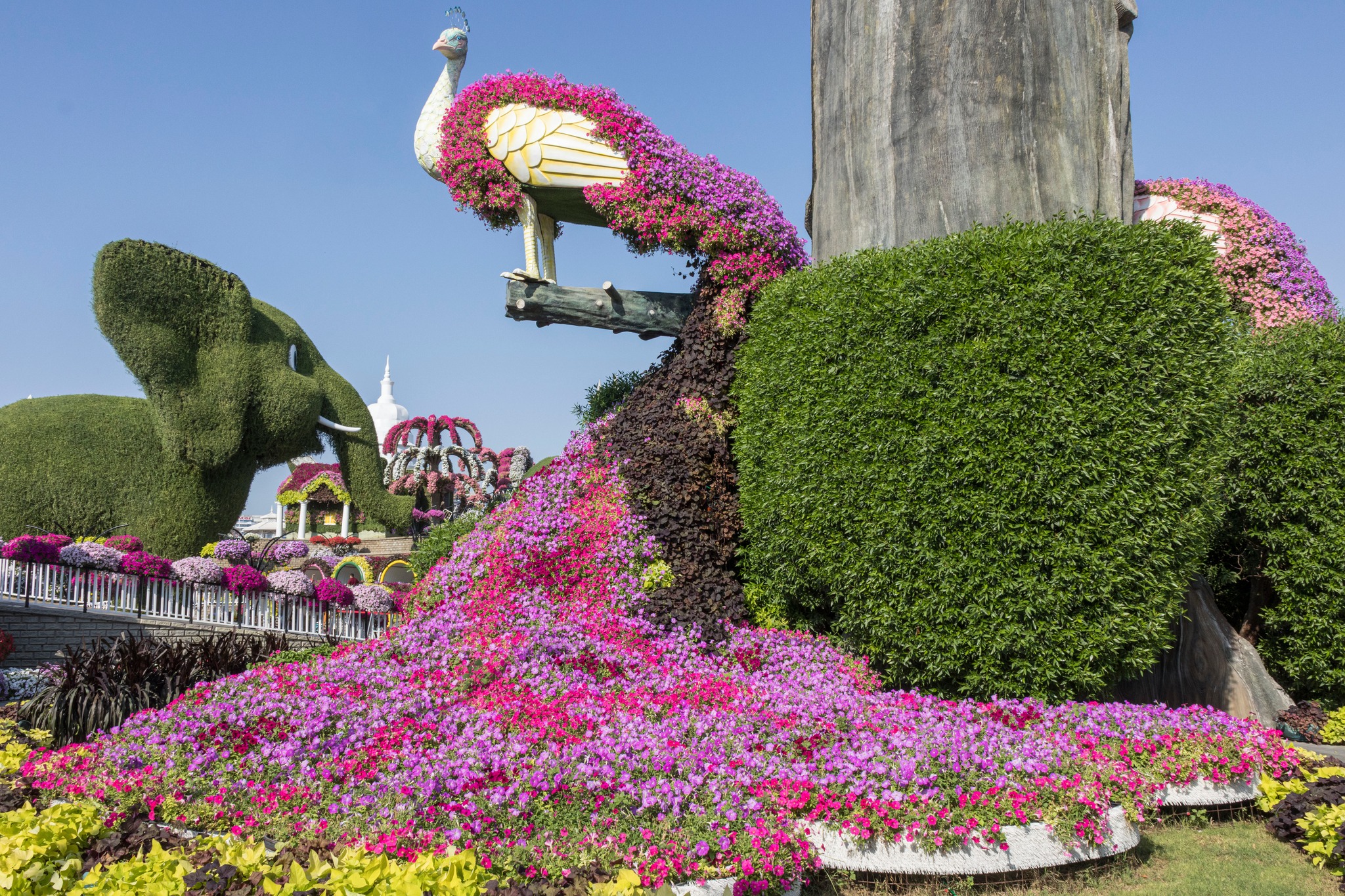 637108969_1475019501299783_2843967081822816792_n